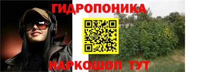 шишки Малгобек