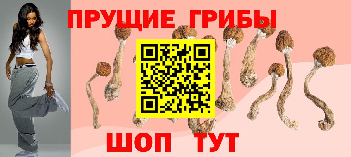 Галлюциногенные грибы GOLDEN TEACHER  Вход с VPN  сколько стоит  Вичуга 